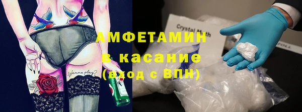 крисы Аркадак