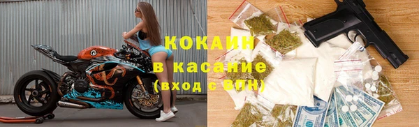 шишки Армянск