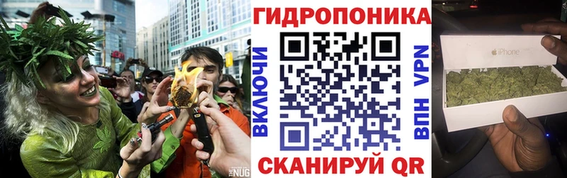 закладка  Сокол  Конопля план 